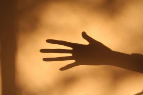 Hand shadow